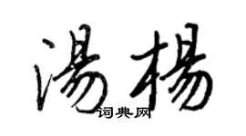 王正良湯楊行書個性簽名怎么寫