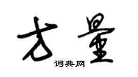 朱錫榮方量草書個性簽名怎么寫