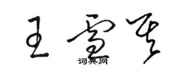 駱恆光王雪其草書個性簽名怎么寫