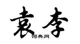 胡問遂袁李行書個性簽名怎么寫