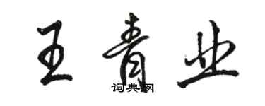 駱恆光王青業行書個性簽名怎么寫