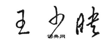 駱恆光王少映草書個性簽名怎么寫