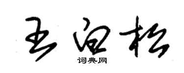 朱錫榮王白松草書個性簽名怎么寫