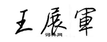 王正良王展軍行書個性簽名怎么寫