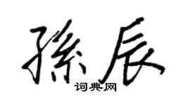 王正良孫辰行書個性簽名怎么寫
