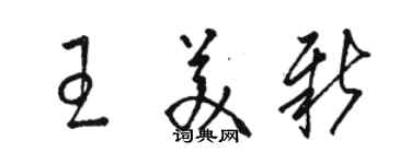 駱恆光王美新草書個性簽名怎么寫