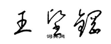 梁錦英王堅鋼草書個性簽名怎么寫