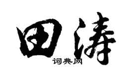胡問遂田濤行書個性簽名怎么寫