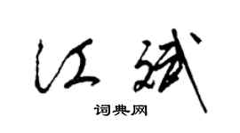 梁錦英江斌草書個性簽名怎么寫