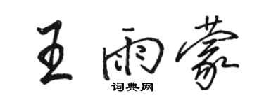駱恆光王雨蒙行書個性簽名怎么寫