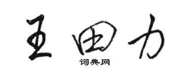 駱恆光王田力行書個性簽名怎么寫