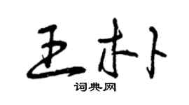 曾慶福王朴草書個性簽名怎么寫
