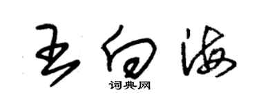 朱錫榮王向海草書個性簽名怎么寫