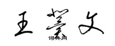 梁錦英王冀文草書個性簽名怎么寫