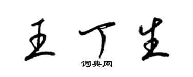 梁錦英王丁生草書個性簽名怎么寫