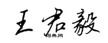 王正良王君毅行書個性簽名怎么寫