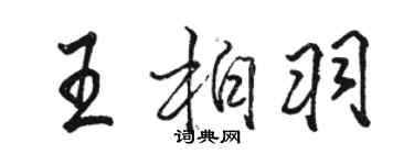 駱恆光王柏羽行書個性簽名怎么寫