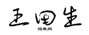 曾慶福王田生草書個性簽名怎么寫
