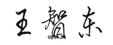 駱恆光王智東行書個性簽名怎么寫