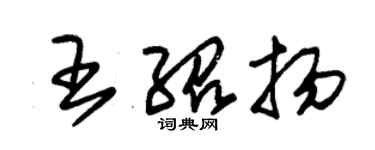 朱錫榮王紹揚草書個性簽名怎么寫