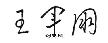 駱恆光王軍朋草書個性簽名怎么寫