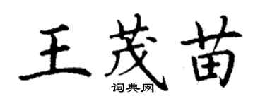 丁謙王茂苗楷書個性簽名怎么寫