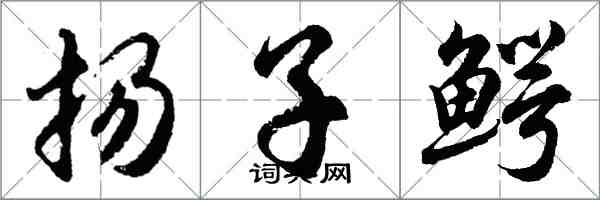 胡問遂揚子鱷行書怎么寫