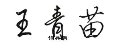 駱恆光王青苗行書個性簽名怎么寫