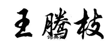 胡問遂王騰枝行書個性簽名怎么寫