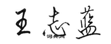 駱恆光王志藍行書個性簽名怎么寫