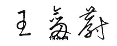 駱恆光王劍蔚草書個性簽名怎么寫