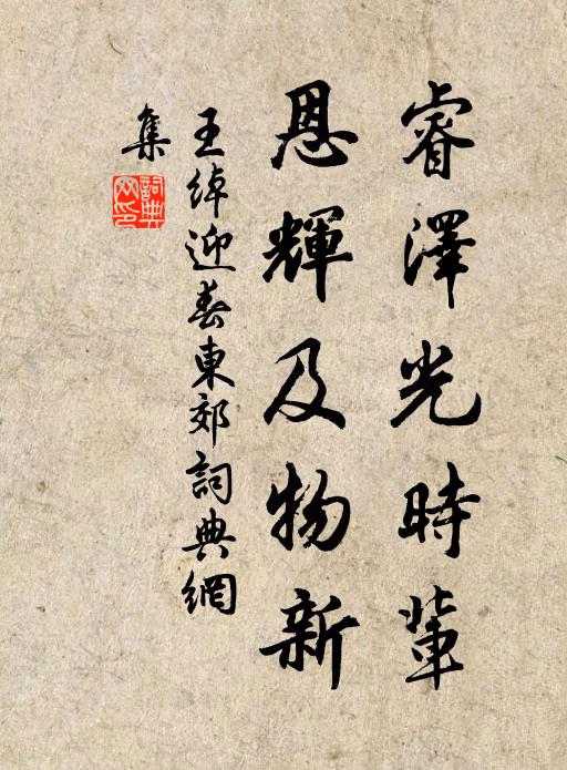 最憐飛雪蒼苔上，時有珍禽蹴地來 詩詞名句