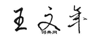 駱恆光王文年行書個性簽名怎么寫