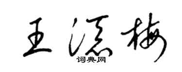 梁錦英王添梅草書個性簽名怎么寫