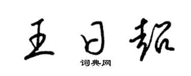 梁錦英王日超草書個性簽名怎么寫