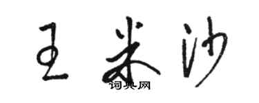 駱恆光王米沙草書個性簽名怎么寫