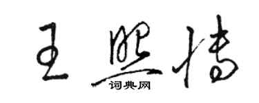 駱恆光王照博草書個性簽名怎么寫