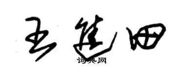 朱錫榮王進田草書個性簽名怎么寫