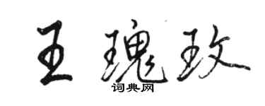 駱恆光王瑰玫行書個性簽名怎么寫