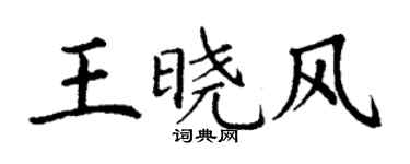 丁謙王曉風楷書個性簽名怎么寫