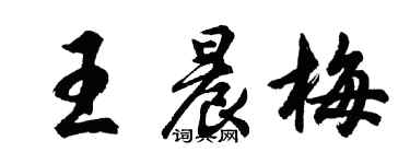 胡問遂王晨梅行書個性簽名怎么寫