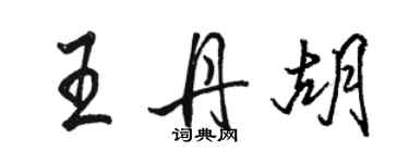 駱恆光王丹胡行書個性簽名怎么寫