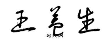 曾慶福王益生草書個性簽名怎么寫