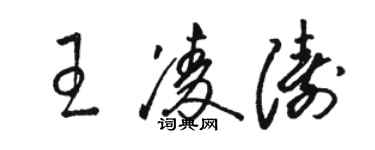 駱恆光王凌濤草書個性簽名怎么寫