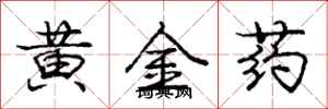 龐中華黃金藥行書怎么寫