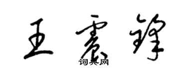 梁錦英王震鋒草書個性簽名怎么寫
