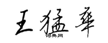 王正良王猛華行書個性簽名怎么寫