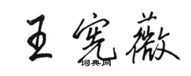 駱恆光王憲薇行書個性簽名怎么寫