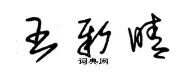 朱錫榮王新晴草書個性簽名怎么寫