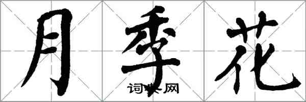 翁闓運月季花楷書怎么寫